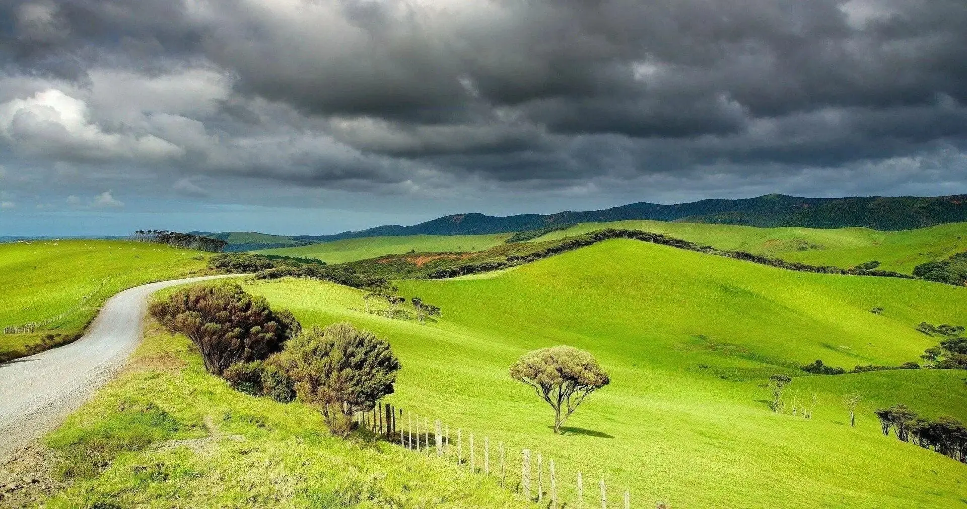 Pristine green hills of New Zealand